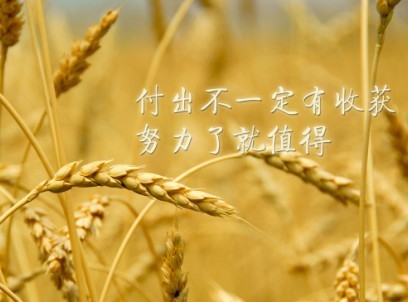 2021考研：备考这个阶段要了解几件事