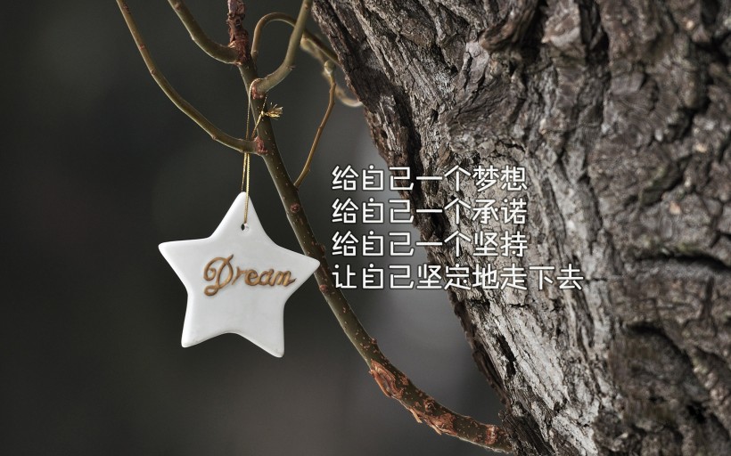 21考研：985、211如此诱人，我该不该放手一搏？