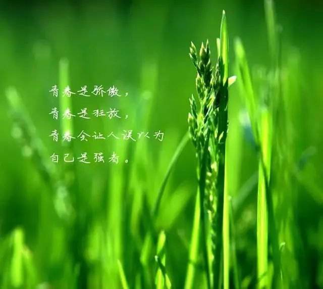 20届考研生面临严峻现状，调剂、二战、工作、留学四大情况分析